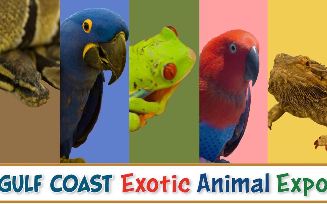 2024 Gulf Coast Exotic Animal Expo Vendors